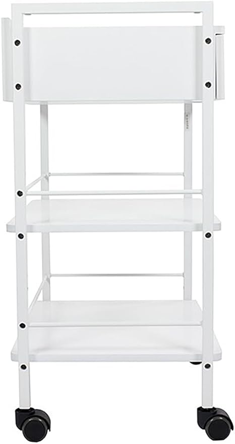 SKINACT Pro Single Drawer Cart Pro Medical Dental Mobile Utility Cabinet & Cart with Steel Frame and One Drawer