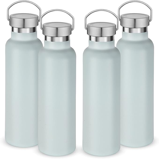 Neihepal 20 oz Insulated Water Bottles Bulk 4 Pack,Stainless Steel Double Wall Sport Bottle with Lid of Handle,Metal Reusable Thermoses Flask with Cup Cap for School,Hikers,Gift (Fog,Set of 4)