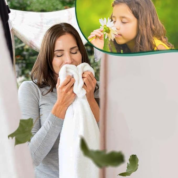 Laundry Prewash Spray Aerosol 12.3 Oz (Ultimate Tough Stain Remover for White Shirts/Clothes w/o Scrub/Soak),Plus 4-in-1 Fabric Softener Dryer Sheets 6.4"x9" 1000 Single PCS (Drive Clothes Ultra Soft)