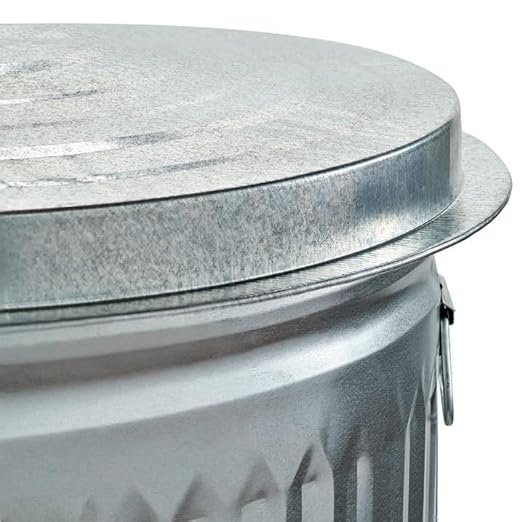 31 Gallon Metal Trash Can with Lid, Durable Silver Garbage Can-Easy to Clean,Suitable for Outdoor, Kitchen, Office