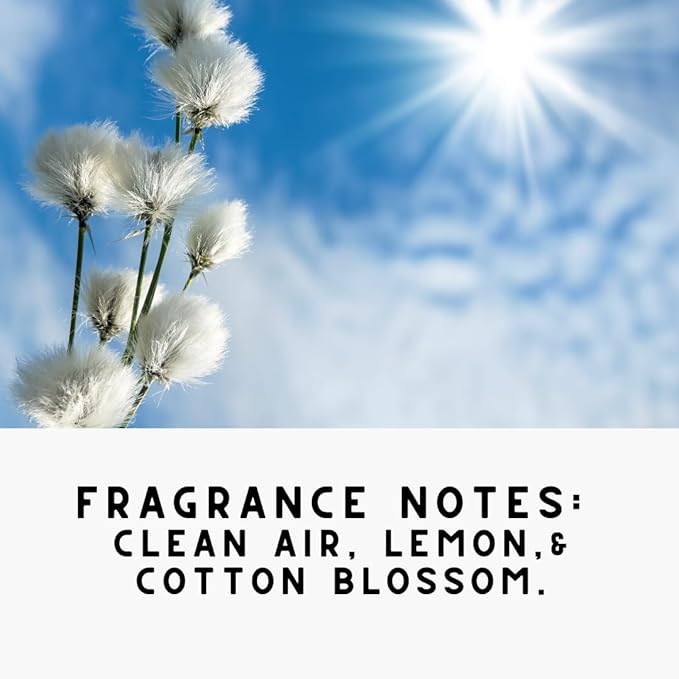 Home 'COTTON SKY',Concentrated, Natural Laundry Detergent Powder - Fresh Air, Apple, & Kiwi| High Efficiency/Standard Machine Washing |Nontoxic | Stain/Odor Removal (32 oz / 64 Loads)