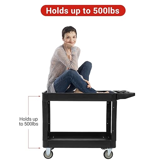 Utility Service Cart 2-Shelf 500 Lbs Capacity, Heavy Duty Rolling Cart with Two Trays and Brake Wheel for Warehouse, Garage, Cleaning, Manufacturing, Storage Handle, 45"X25" Black