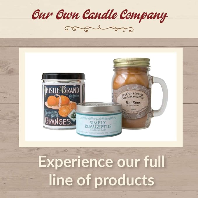 Our Own Candle Company Premium Wax Melt, French Vanilla, 6 Cubes, 2.4 oz (4 Pack)