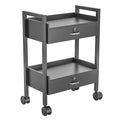 Paddie Salon Trolley Cart, Salon Tray Wooden Mobile Utility Cabinet with 2 Lockable Drawers, Rolling Storage Station Medical Esthetic Supply Holder for Beauty Spa (2 Drawers, Black)