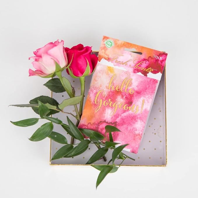 WillowBrook | Fresh Scents Scented Sachet Packet | Hello Gorgeous | Air Freshener Bags for Drawers, Closets, Cars | 6 Pack | Long Lasting Home Fragrance