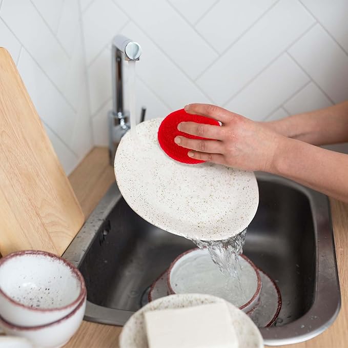 5Pcs Plastic Dish Scrubbers for Dishes - Colorful Non Scratch Pot Scrubbers for Kitchen Scrubber Pads Mesh Scouring Pad Sponge Loofah Dish Scrubber