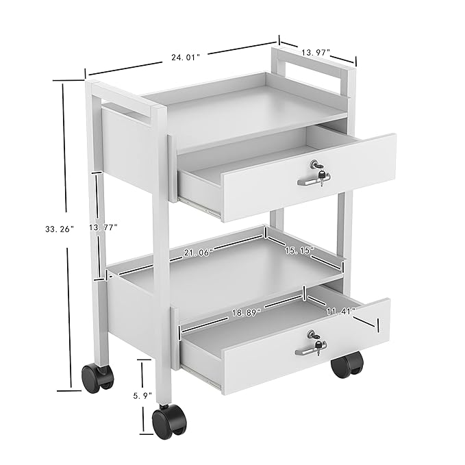 Paddie Salon Trolley Cart, Salon Tray Wooden Mobile Utility Cabinet with 2 Lockable Drawers, Rolling Storage Station Medical Esthetic Supply Holder for Beauty Spa (2 Drawers, White)