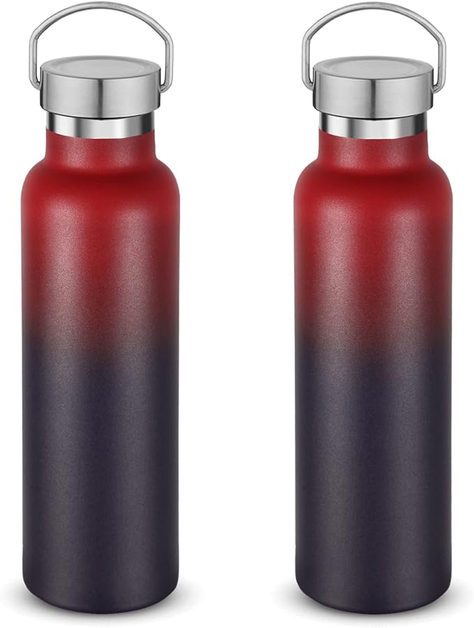 Neihepal 20 oz Insulated Water Bottles Bulk 2 Pack,Stainless Steel Double Wall Sport Bottle with Lid of Handle,Metal Reusable Thermoses Flask for School,Cyclists,Hikers,Gift (Dark Rainbow,Set of 2)