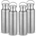 Neihepal 20 oz Insulated Water Bottles Bulk 4 Pack,Stainless Steel Double Wall Sport Bottle with Lid of Handle,Metal Reusable Thermoses Flask with Cup Cap for School,Hikers,Gift (Silver,Set of 4)
