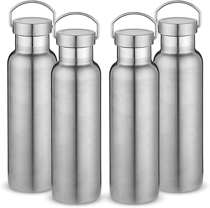 Neihepal 20 oz Insulated Water Bottles Bulk 4 Pack,Stainless Steel Double Wall Sport Bottle with Lid of Handle,Metal Reusable Thermoses Flask with Cup Cap for School,Hikers,Gift (Silver,Set of 4)