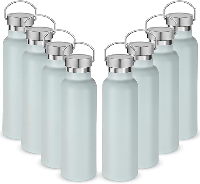 Neihepal 20 oz Insulated Water Bottles Bulk 8 Pack,Stainless Steel Double Wall Sport Bottle with Lid of Handle,Metal Reusable Flask with Cup Cap for School,Hikers,Gift (Fog,Set of 8)