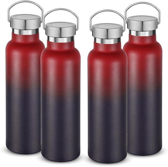 Neihepal 20 oz Insulated Water Bottles Bulk 4 Pack,Stainless Steel Double Wall Sport Bottle with Lid of Handle,Metal Reusable Thermoses Flask for School,Cyclists,Hikers,Gift (Dark Rainbow,Set of 4)