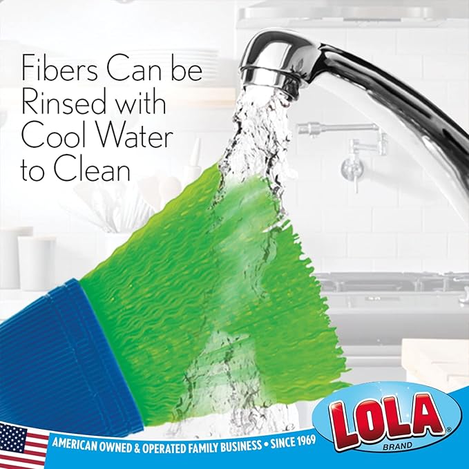 LOLA Whisk Broom, Hand Brush, Durable Bristles, Whisks Away Dirt & Debris, Compact, Hang Hole for Easy Storage, Indoor/Outdoor, 1 Pack