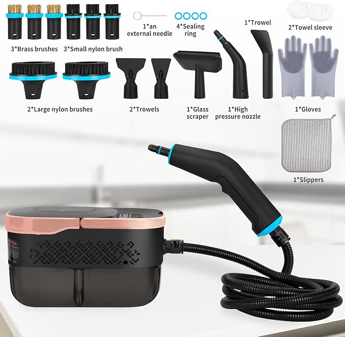 2500W Portable Handheld Steam Cleaner, High Temperature Pressurized Steam Cleaning Large Capacity 10s Fast Heating Steamer for Car Detailing, Furniture, Couch, Bed Bugs, House, Windows (BLACK)