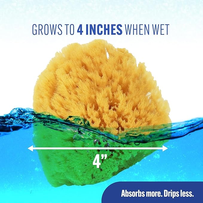 Baby Buddy Baby Bath 4in Assorted Sea Sponges, Absorbent Natural Sea Sponge, Soft on Tender Skin, Biodegradable, Hypoallergenic, Bath Accessories for Bathing, 3 Pack