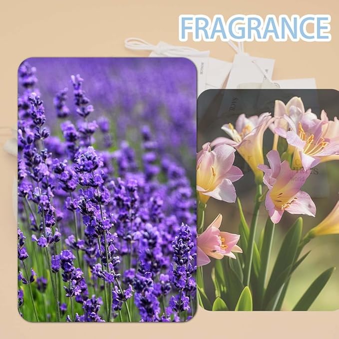 6-Pack Fresh Scented Sachet Packet, Air Freshener Bags for Drawers, Closets, Cars, Long Lasting Home Fragrance, English Pear Freesia and Lavender