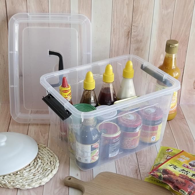 Zopnny 12 Quart Storage Latch Bins with Handles, Plastic Clear Storage Box with Lid, 6 Pack