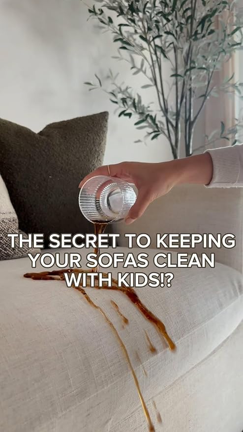 Fabric Protector and Stain Resistant Spray - Upholstery Fabric Spray for Stain Guard for Carpet, Shoes, Couch, Sofa - Non Toxic Water Based Furniture Protector - 25.4 Fl. Oz.