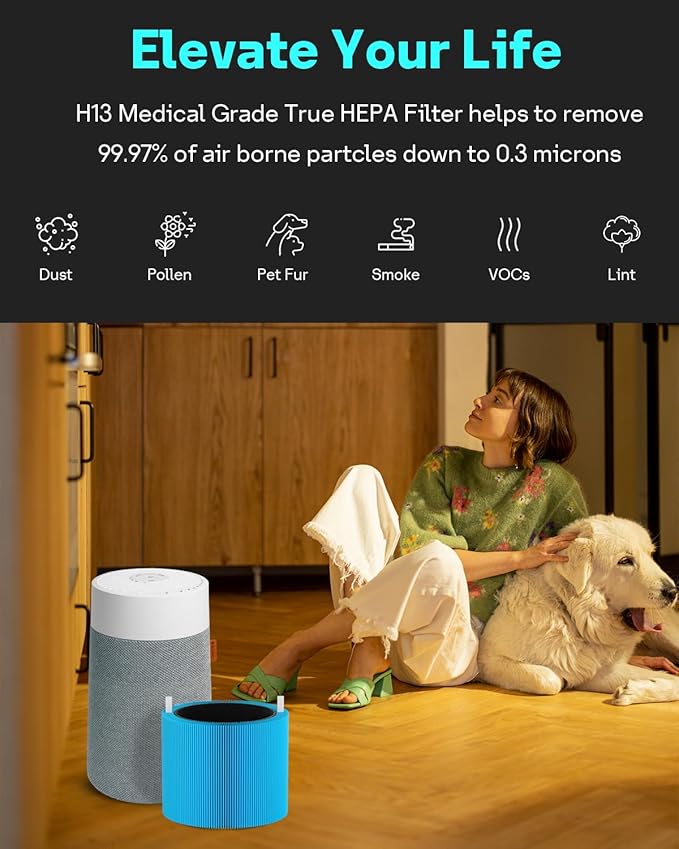 Leemone 2 Pack mini Max AllergenBlock Filter Compatible with Blueair Blue Pure Mini Max Air Purifiers, Activated Carbon FMINI Filter
