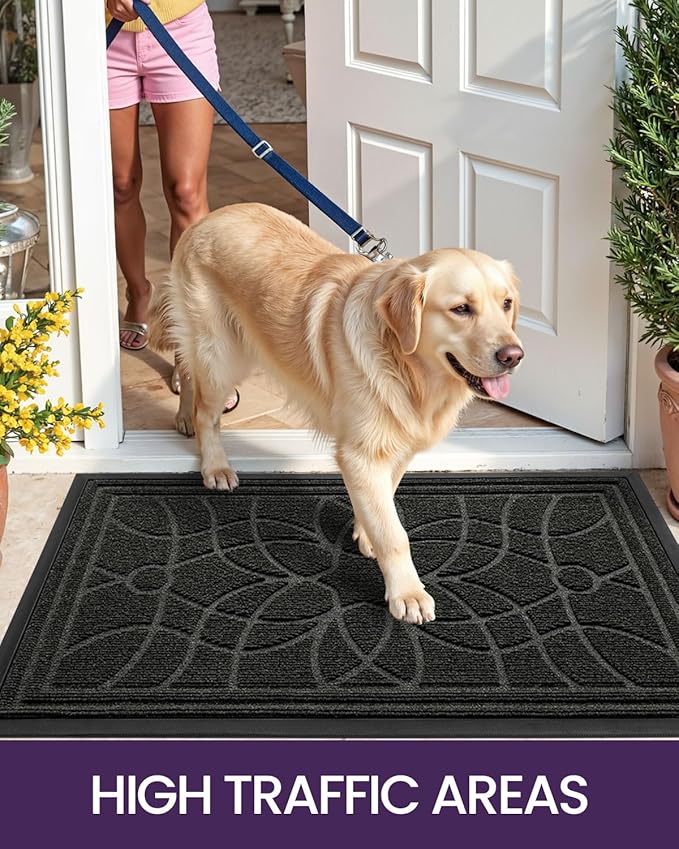 DEXI Front Door Mat Outside Entrance, Heavy Duty Non Slip Low Profile Doormat for Entryway, Trap Dirt and Moisture Welcome Mats, Easy Clean, Patio, Garage, 17x29, Black