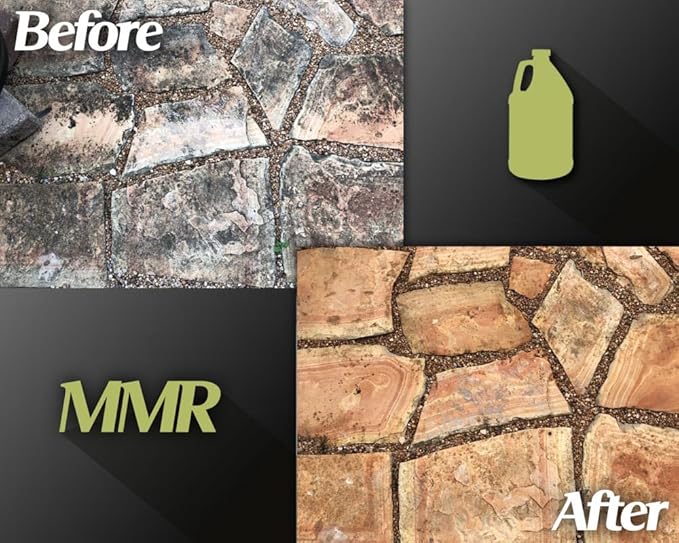 Bad Axe MMR Instant Mold Stain and Mildew Stain Remover - Professional Strength, Contractor Grade Cleaning Solution, Professional Quality Formula, Odor Removal, 1 Gallon (1)