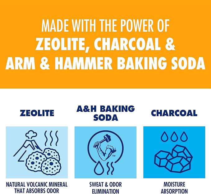 Arm & Hammer In-Shoe Odor Destroying Pouches, Shoe Deodorizer Insert for Reducing Odor and Absorbing Moisture, Smell Eliminator for All Footwear, Gym Bags and Work Boots (2 Pairs)