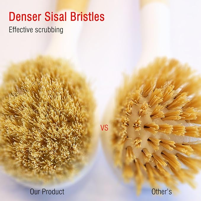 Natural Bristle Dish Brush Set, 1 Wooden Dish Brush and 1 Bamboo Dish Brush with 1 Bamboo Drainer Tray, All Circle Kitchen Scrub Brush for Dishes