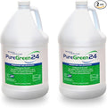 PureGreen24 Safe & Effective Disinfectant. Kills Deadly Germs including RSV COVID-19 Norovirus MRSA Staph 2025 flu Contains no toxic chemicals odorless child & pet safe 2 gallon bottles ready to use