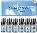 Clean Essential Oils Set, Laundry Collection Essential Oils Set, Pack of 6 Fragrance Oil for Diffuser for Home, Use with Wool Dryer Balls Scents - Fresh Linen, Clean Breeze, Eucalyptus and Cotton