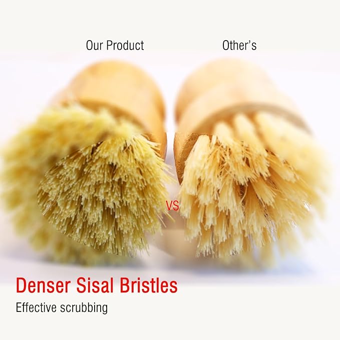 Bamboo Palm Dish Brush Set, Natural Bristle Dish Brush with Holder, Eco Friendly Soft Scrub Kitchen Brush for Dishes and Vegetables