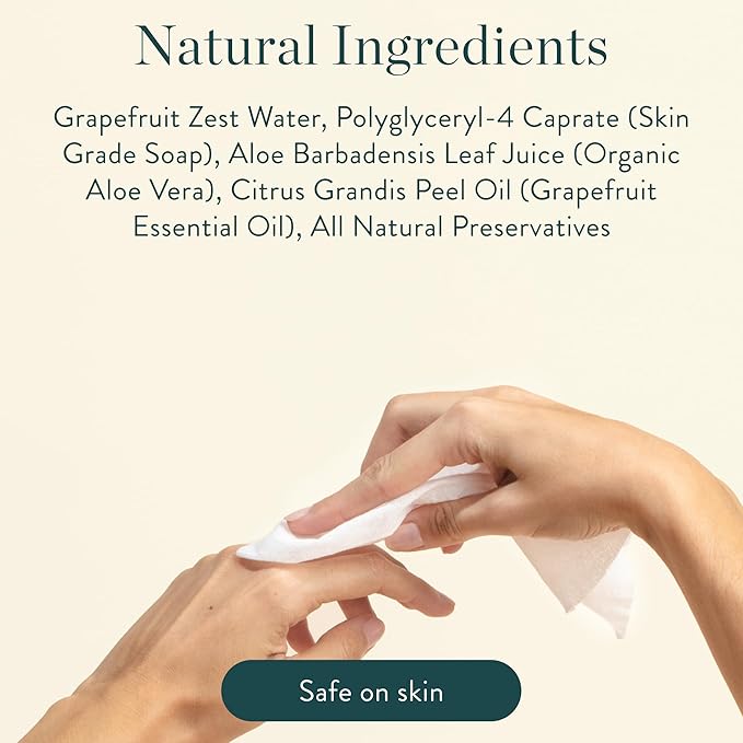 Biom Biodegradable All-Purpose Mini Wipes 8-Pack Refill - Eco-Friendly Cleaning Wipes | Plant-Based Surface Cleaner Home & Travel | Kid & Pet Friendly | All Natural & Non-Toxic | Grapefruit