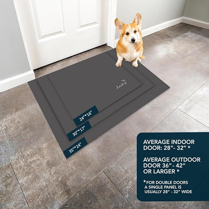 Ultra Thin Door Mat Indoor Entrance, 1/10 in Thin Door Mats for Inside Entry, Non-Slip Rubber Backing Washable Doormat, Fade Resistant, Absorbent, Low Profile Dirt Trapper, 24"X16", Black