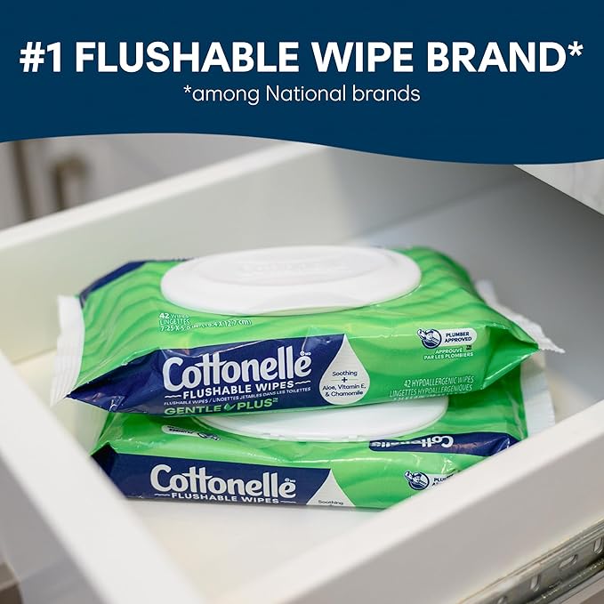 Cottonelle GentlePlus Flushable Wet Wipes with Aloe & Vitamin E, 16 Flip-Top Packs, 42 Wipes Per Pack (672 Total Wipes), Packaging May Vary