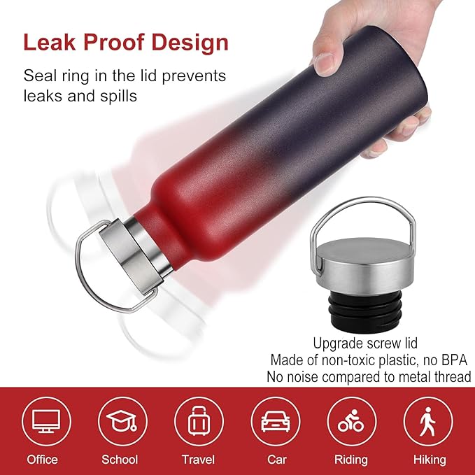 Neihepal 20 oz Insulated Water Bottles Bulk 4 Pack,Stainless Steel Double Wall Sport Bottle with Lid of Handle,Metal Reusable Thermoses Flask for School,Cyclists,Hikers,Gift (Dark Rainbow,Set of 4)