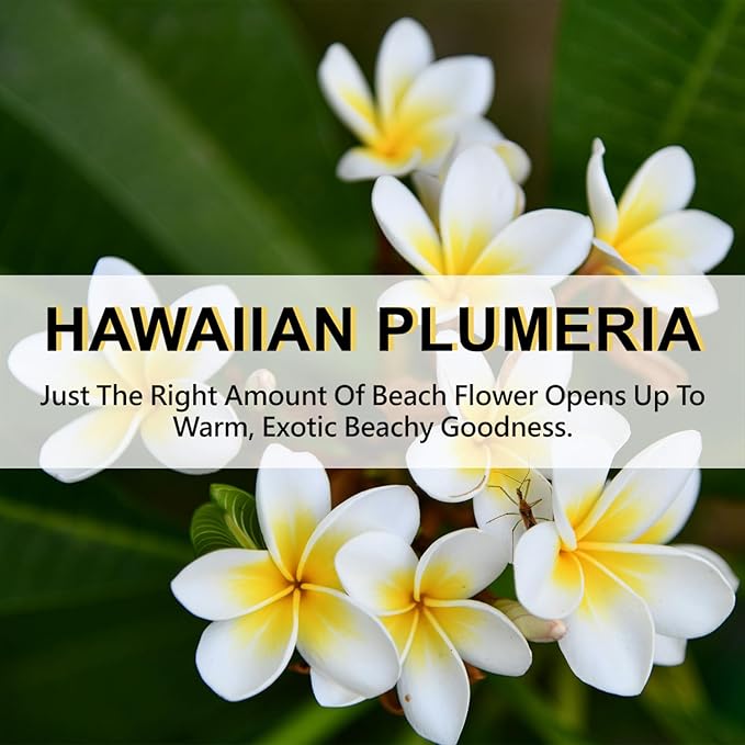 ROSE COTTAGE Large 12 Packs Hawaiian Plumeria Hanging Closet Air Freshener Scented Sachets Long Lasting Smell Goods