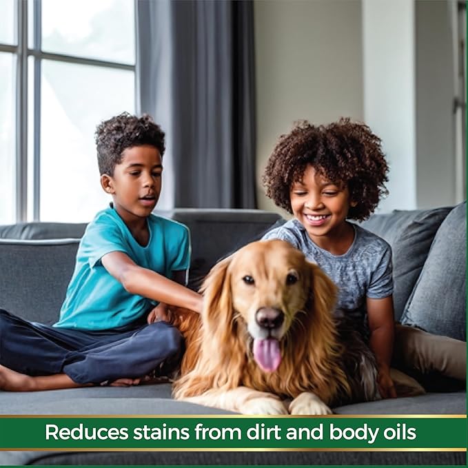 Fabric Protection Spray Water Based Solution - Natural Kid and Pet Safe Formula, Fabric Protector for Upholstery, Couch, Shoes, Jackets & Outdoor Furniture - Waterproof & Stain Resistant - 16 oz