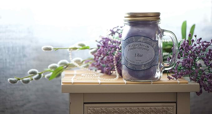 Our Own Candle Company Premium Wax Melt, The Beach, Coconut Lime, Himalayan Sea Salt, and Raspberry Lemonade, Summer Variety Pack, 6 Cubes, 2.4 oz (4 Pack)