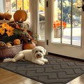 hicorfe Indoor Door Mat,Non Slip Door Mats,32"x48" Front Back Door Mat Rubber Backing,Absorbent Resist Dirt Entrance Inside Floor Mats for Entryway Washable Low-Profile(Latte)