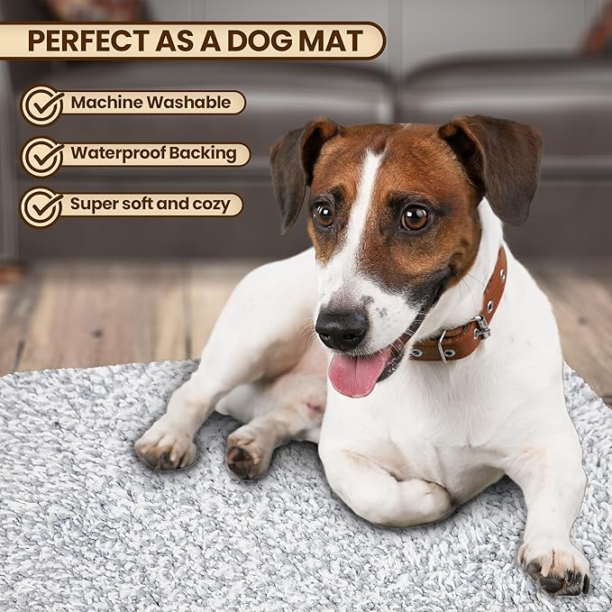 Premium Microfiber Indoor Door Mat – 24"x36" Washable Entry Mat, Non-Slip, Waterproof Backing, Super Absorbent, Low Profile Entryway Doormat for Indoor Entrance
