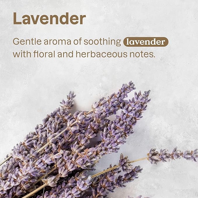 ATTITUDE Stain and Odor Remover for Pets, Plant and Mineral-Based Ingredients, Vegan and Cruelty-Free, Lavender, 16 Fl Oz