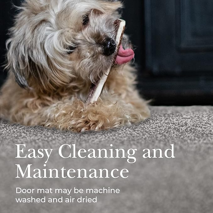 Premium Microfiber Indoor Door Mat – 20"x30" Washable Entry Mat, Non-Slip, Waterproof Backing, Super Absorbent, Low Profile Entryway Doormat for Indoor Entrance