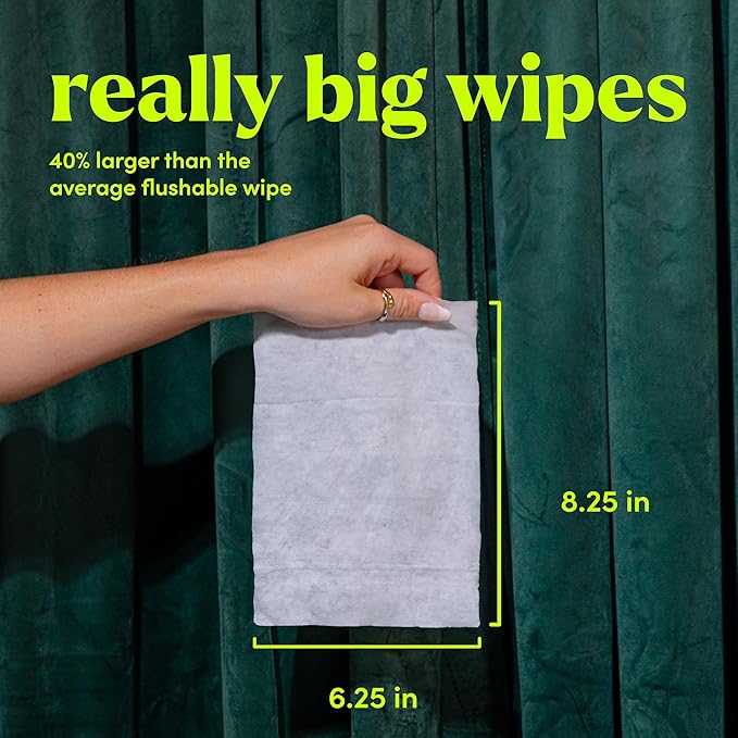 goodwipes Flushable Wipes - Individually Wrapped Butt Wipe for On-the-Go Adults - Portable Mini Wipes - Travel Essentials - Sewer & Septic Safe - Botanical Bliss, 32 Count (1 Pack)