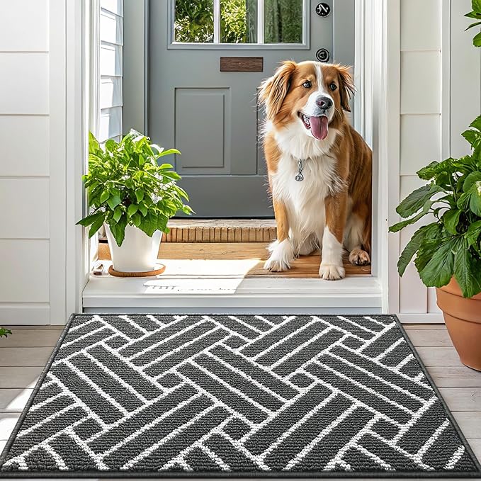 OLANLY Large Indoor Door Mat, 59x35 Inch, Dirt Resistant and Absorbent, Non-Slip Rubber Backing Floor Mats, Easy Clean Low-Profile Doormat for Entryway, Front Door, and Inside Entrance, Charcoal