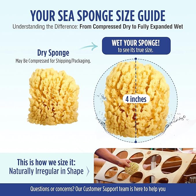 Baby Buddy Baby Bath 4in Yellow Sea Sponge, Absorbent Natural Sea Sponge, Soft on Tender Skin, Biodegradable, Hypoallergenic, Bath Accessories for Bathing, 3 Pack