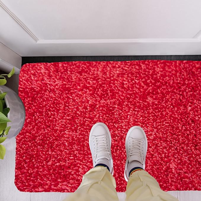 Premium Microfiber Indoor Door Mat – 20"x30" Washable Entry Mat, Non-Slip, Waterproof Backing, Super Absorbent, Low Profile Entryway Doormat for Indoor Entrance