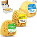 Baby Buddy Baby Bath 4in Assorted Sea Sponges, Absorbent Natural Sea Sponge, Soft on Tender Skin, Biodegradable, Hypoallergenic, Bath Accessories for Bathing, 3 Pack