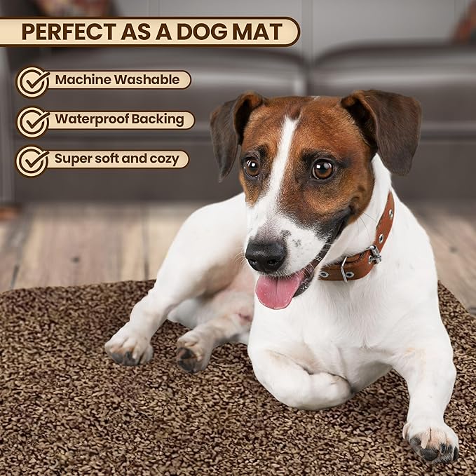 Premium Microfiber Indoor Door Mat – 24"x36" Washable Entry Mat, Non-Slip, Waterproof Backing, Super Absorbent, Low Profile Entryway Doormat for Indoor Entrance