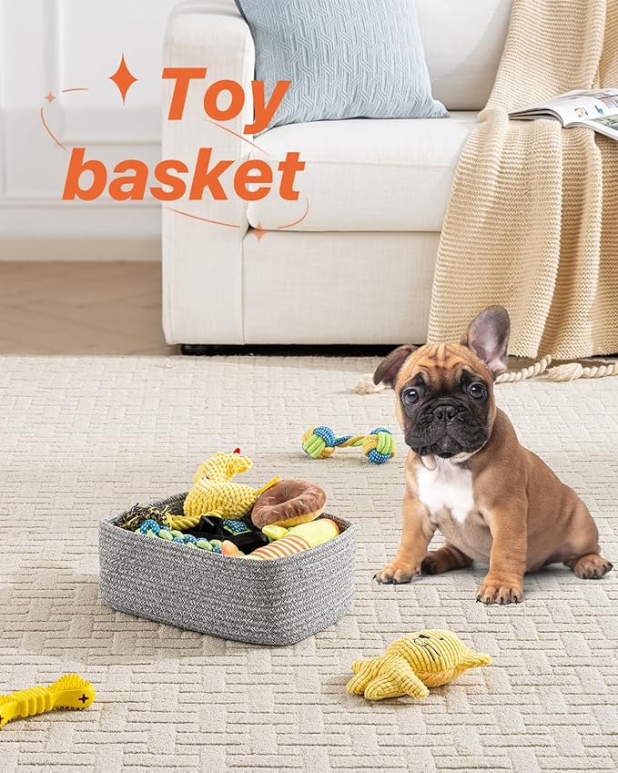 Small Woven Basket, 12 x 8 x 4.5 Inches, Storage Basket for Organizing, Cute Small Rope Shelf Closet Cube Storage Bins Baskets for Shelves, Dog Toy Gift Baskets Empty, 3 Packs, Mixed Grey
