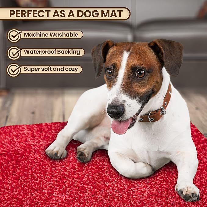 Premium Microfiber Indoor Door Mat – 20"x30" Washable Entry Mat, Non-Slip, Waterproof Backing, Super Absorbent, Low Profile Entryway Doormat for Indoor Entrance