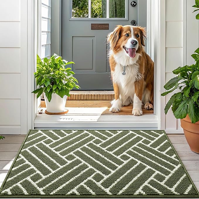 OLANLY Indoor Door Mat, 48x32 Inch, Dirt Resistant and Absorbent, Non-Slip Rubber Backing Floor Mats, Easy Clean Low-Profile Doormat for Entryway, Front Door, and Inside Entrance, Green